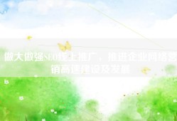 做大做强SEO线上推广，推进企业网络营销高速建设及发展
