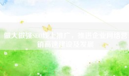 做大做强SEO线上推广，推进企业网络营销高速建设及发展