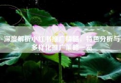 深度解析小红书推广精髓，特色分析与多样化推广策略一览