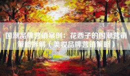 国潮品牌营销案例：花西子的国潮营销策略拆解（美妆品牌营销策略）
