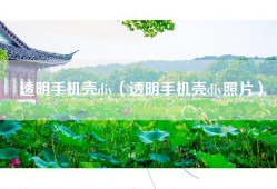 透明手机壳diy（透明手机壳diy照片）