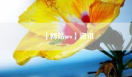 【网站seo】资讯