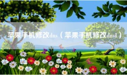 苹果手机修改dns（苹果手机修改dns1）