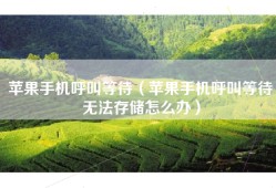 苹果手机呼叫等待（苹果手机呼叫等待无法存储怎么办）