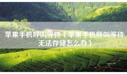 苹果手机呼叫等待（苹果手机呼叫等待无法存储怎么办）