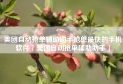 美团自动抢单辅助助手抢单最快的手机软件「美团自动抢单辅助助手」