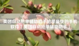 美团自动抢单辅助助手抢单最快的手机软件「美团自动抢单辅助助手」