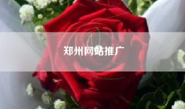 郑州网站推广