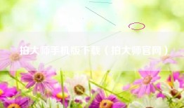 拍大师手机版下载（拍大师官网）