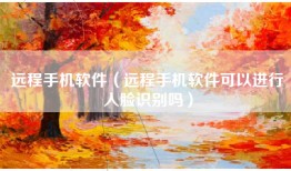 远程手机软件（远程手机软件可以进行人脸识别吗）