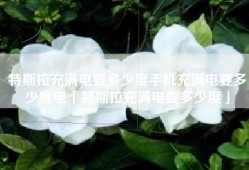 特斯拉充满电要多少度手机充满电要多少度电「特斯拉充满电要多少度」
