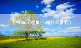 手机gms（手机gms是什么服务）