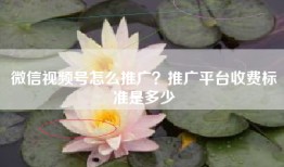 微信视频号怎么推广？推广平台收费标准是多少