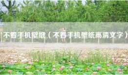 不看手机壁纸（不看手机壁纸高清文字）