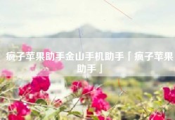 疯子苹果助手金山手机助手「疯子苹果助手」