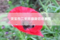 灵宝市二手房最新信息概览