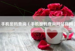 手机密码查询（手机密码查询网站官网）
