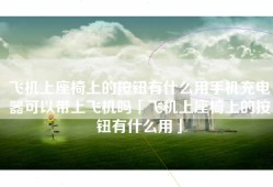飞机上座椅上的按钮有什么用手机充电器可以带上飞机吗「飞机上座椅上的按钮有什么用」