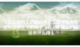 飞机上座椅上的按钮有什么用手机充电器可以带上飞机吗「飞机上座椅上的按钮有什么用」