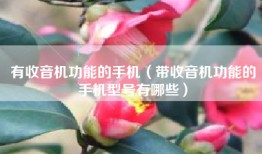 有收音机功能的手机（带收音机功能的手机型号有哪些）