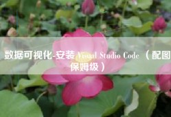 数据可视化-安装 Visual Studio Code （配图保姆级）