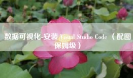 数据可视化-安装 Visual Studio Code （配图保姆级）