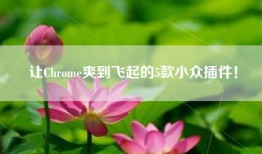 让Chrome爽到飞起的5款小众插件！