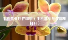 手机营业厅在哪里（手机营业厅在哪里打开）