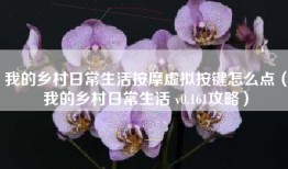 我的乡村日常生活按摩虚拟按键怎么点（我的乡村日常生活 v0.161攻略）