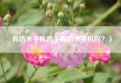 有防水手机吗（有防水手机吗？）