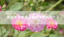 有防水手机吗（有防水手机吗？）