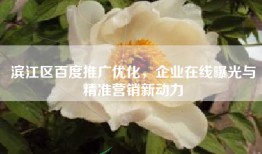 滨江区百度推广优化，企业在线曝光与精准营销新动力