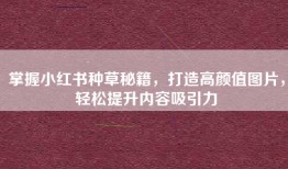 掌握小红书种草秘籍，打造高颜值图片，轻松提升内容吸引力