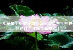 买苹果手机要注意什么（买苹果手机要注意什么买哪个版本的）