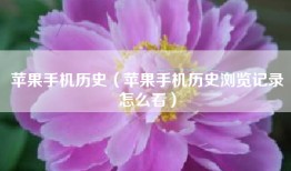 苹果手机历史（苹果手机历史浏览记录怎么看）