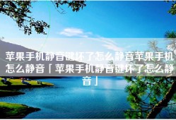 苹果手机静音键坏了怎么静音苹果手机怎么静音「苹果手机静音键坏了怎么静音」