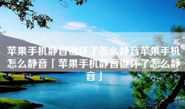 苹果手机静音键坏了怎么静音苹果手机怎么静音「苹果手机静音键坏了怎么静音」