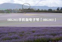 ORG2022手机版电子琴「ORG2022」