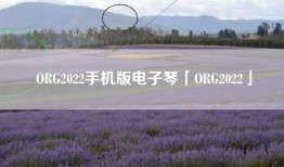 ORG2022手机版电子琴「ORG2022」