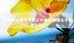 小米双摄像头手机（小米双摄像头手机怎么用）