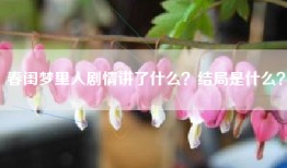 春闺梦里人剧情讲了什么？结局是什么？