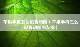 苹果手机怎么设置动图（苹果手机怎么设置动图朋友圈）