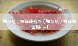 如何给手机解锁密码（如何给手机解锁密码vivo）