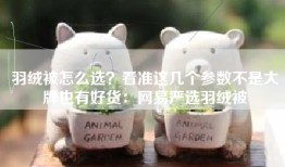 羽绒被怎么选？看准这几个参数不是大牌也有好货：网易严选羽绒被