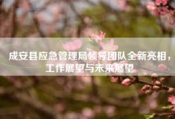 成安县应急管理局领导团队全新亮相，工作展望与未来展望
