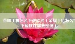 荣耀手机怎么下载软件（荣耀手机怎么下载软件需要密码）