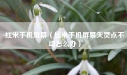 红米手机屏幕（红米手机屏幕失灵点不动怎么办）