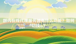 国内在线代理服务器有什么功能？如何切换Ip？