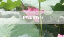 手机怎样跑分