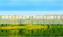 美国本土手机品牌（美国知名品牌手机）